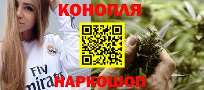 крисы Партизанск