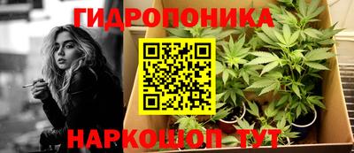 крисы Партизанск