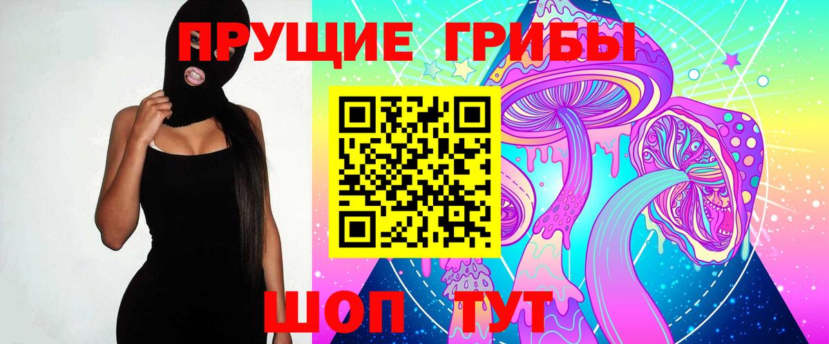 Тайшет  Галлюциногенные грибы мухоморы  Вход с VPN 